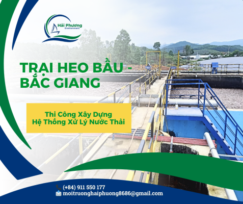Xây dựng hệ thống xử lý nước thải trại heo