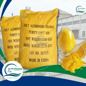 PAC vàng nghệ 31%