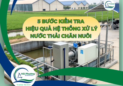 KIỂM TRA HIỆU QUẢ HỆ THỐNG XỬ LÝ NƯỚC THẢI CHĂN NUÔI