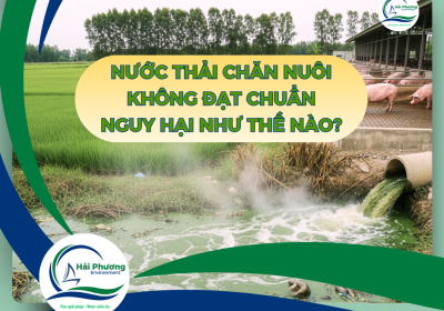 NƯỚC THẢI CHĂN NUÔI KHÔNG ĐẠT CHUẨN: NGUY HẠI CHO MÔI TRƯỜNG VÀ SỨC KHỎE CON NGƯỜI