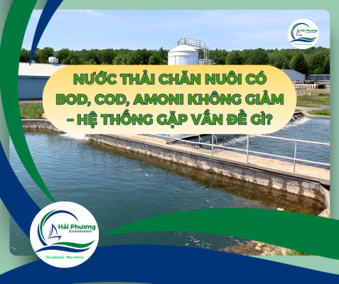 Nước Thải Chăn Nuôi Có BOD, COD, Amoni Không Giảm – Hệ Thống Xử Lý Đang Gặp Vấn Đề Gì?