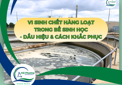SỰ CỐ VI SINH CHẾT HÀNG LOẠT TRONG BỂ SINH HỌC