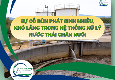 SỰ CỐ BÙN PHÁT SINH NHIỀU, KHÓ LẮNG TRONG HỆ THỐNG XỬ LÝ NƯỚC THẢI CHĂN NUÔI
