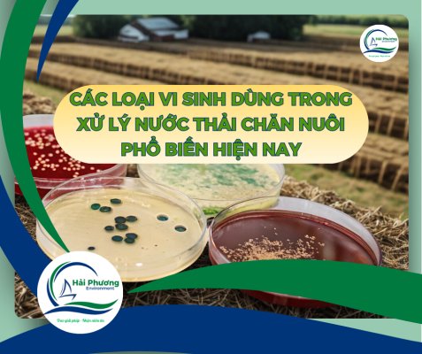 Các Loại Vi Sinh Dùng Trong Xử Lý Nước Thải Chăn Nuôi