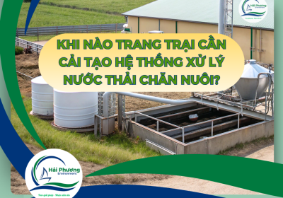 KHI NÀO TRANG TRẠI CẦN CẢI TẠO HỆ THỐNG XỬ LÝ NƯỚC THẢI CHĂN NUÔI?
